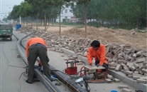 金乡公司捉住机缘营生长，艰辛创业拓绚烂